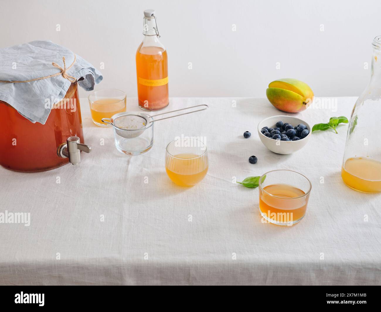 Grand pot en verre avec scoby de kombucha et une bouteille de boisson fermentée maison de kombucha sur fond blanc Banque D'Images