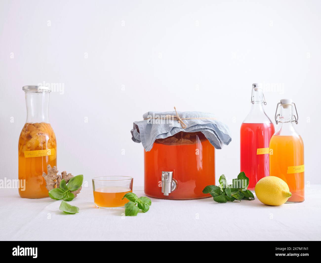 Grand pot en verre avec scoby kombucha et diverses bouteilles de boisson kombucha fermentée maison avec différentes saveurs sur fond blanc Banque D'Images