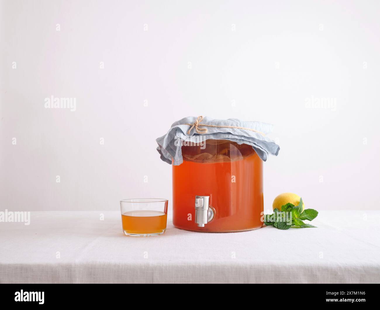 Grand pot en verre avec kombucha de thé fermenté sur fond blanc. Première fermentation de boisson maison bio Banque D'Images