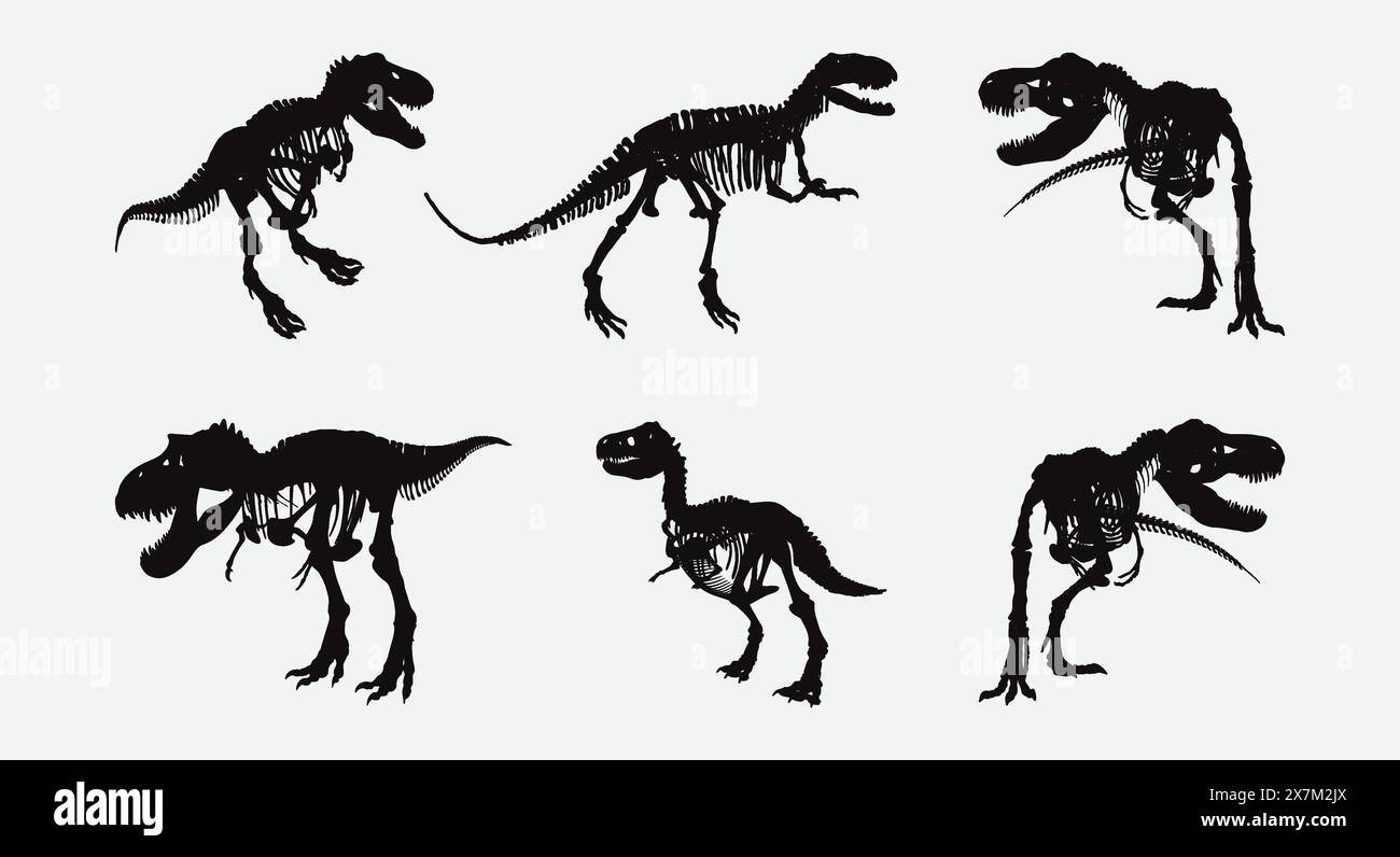Dinosaur Skeleton Silhouette Vector Set fossilisé Prehistorical Dinosaur Bones Silhouette illustrations Illustration de Vecteur