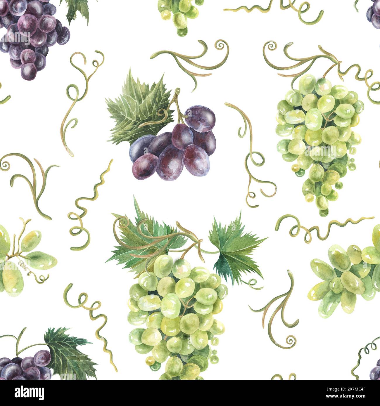 Vert et violet, motif aquarelle de raisins violets sans couture. Dessiné à la main. Pour textile. tissu, papier numérique. Pour la conception d'emballage Banque D'Images