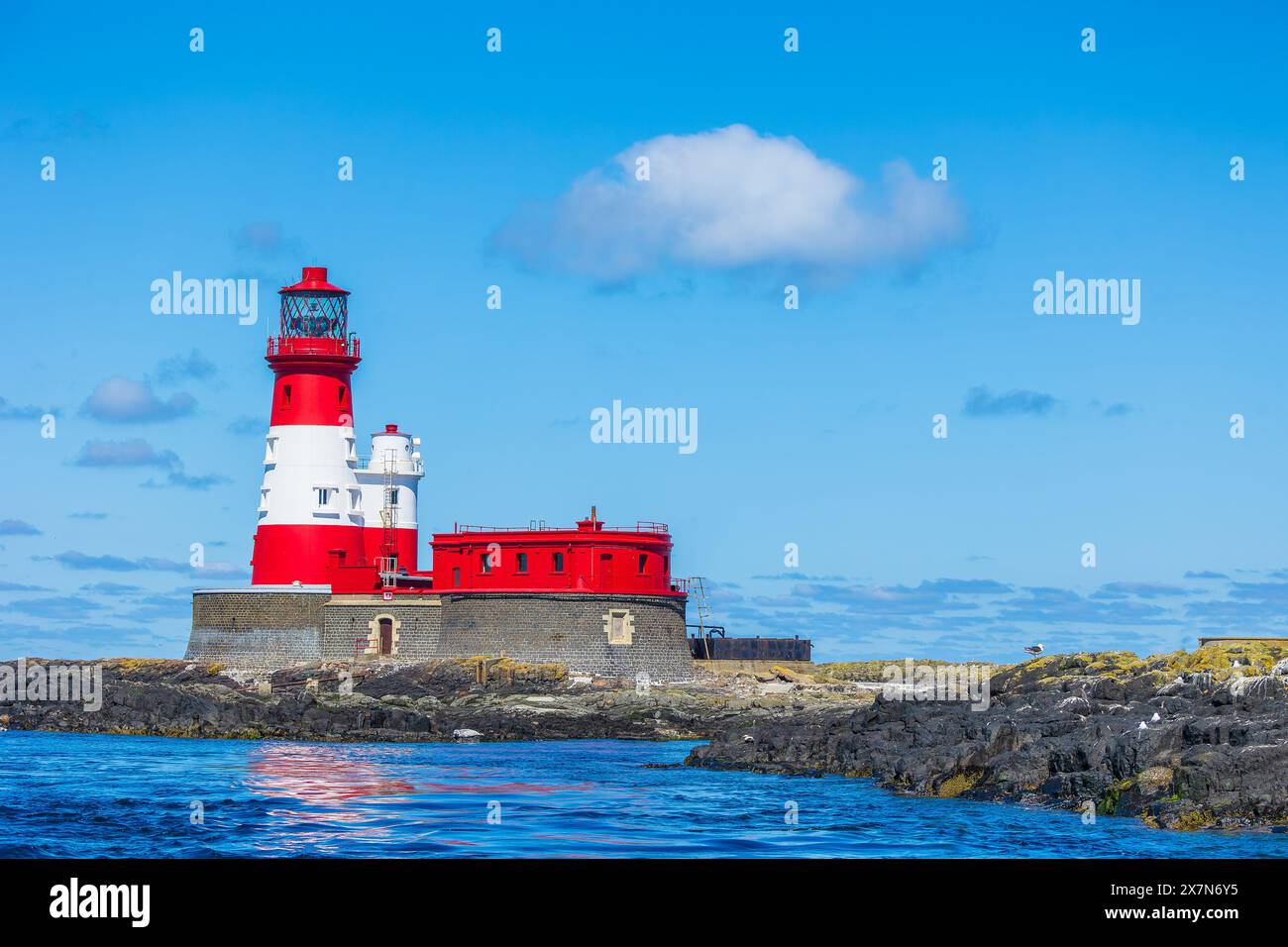 Phare de Longstone dans les îles Outer Farne sur la côte du Northumberland, Royaume-Uni, avec des phoques pèlerins et des oiseaux de mer sur des roches couvertes de lichens. Horizontal. Banque D'Images