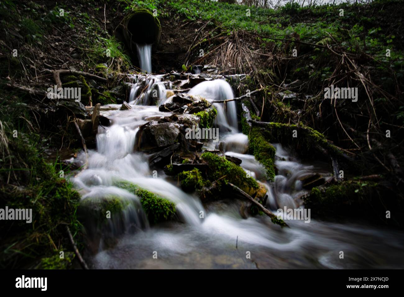 Dans les bois, un tuyau libère de l'eau formant une belle cascade Banque D'Images