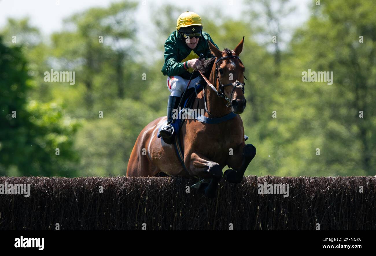 Images des courses de Knutsford 2024, Tabley Hall, Cheshire, dimanche 19 mai 2024. Crédit JTW Equine images / Alamy. Banque D'Images