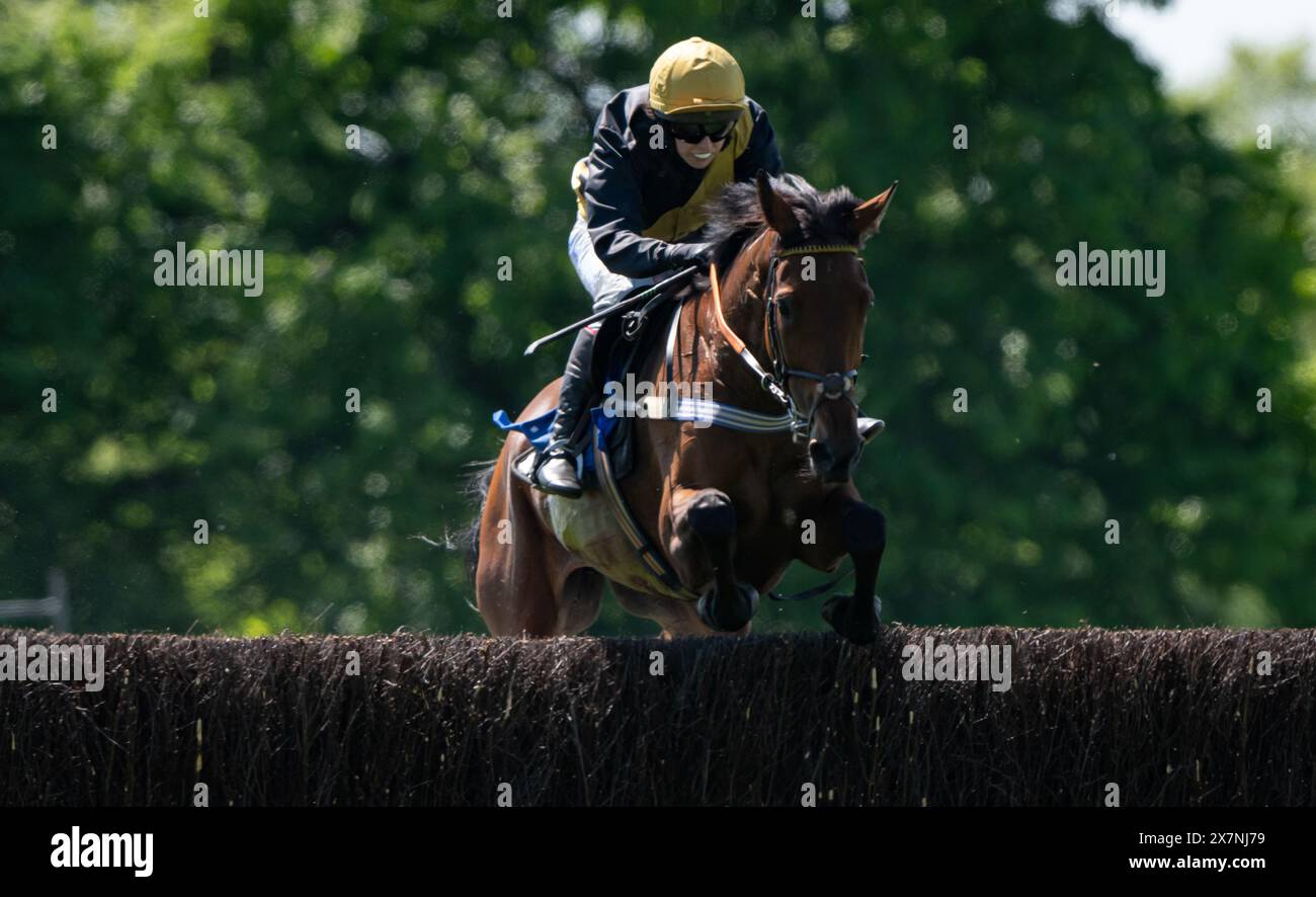 Images des courses de Knutsford 2024, Tabley Hall, Cheshire, dimanche 19 mai 2024. Crédit JTW Equine images / Alamy. Banque D'Images