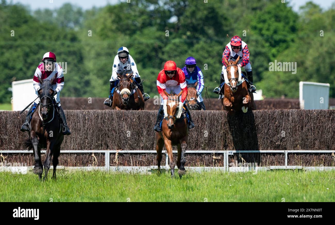 Images des courses de Knutsford 2024, Tabley Hall, Cheshire, dimanche 19 mai 2024. Crédit JTW Equine images / Alamy. Banque D'Images