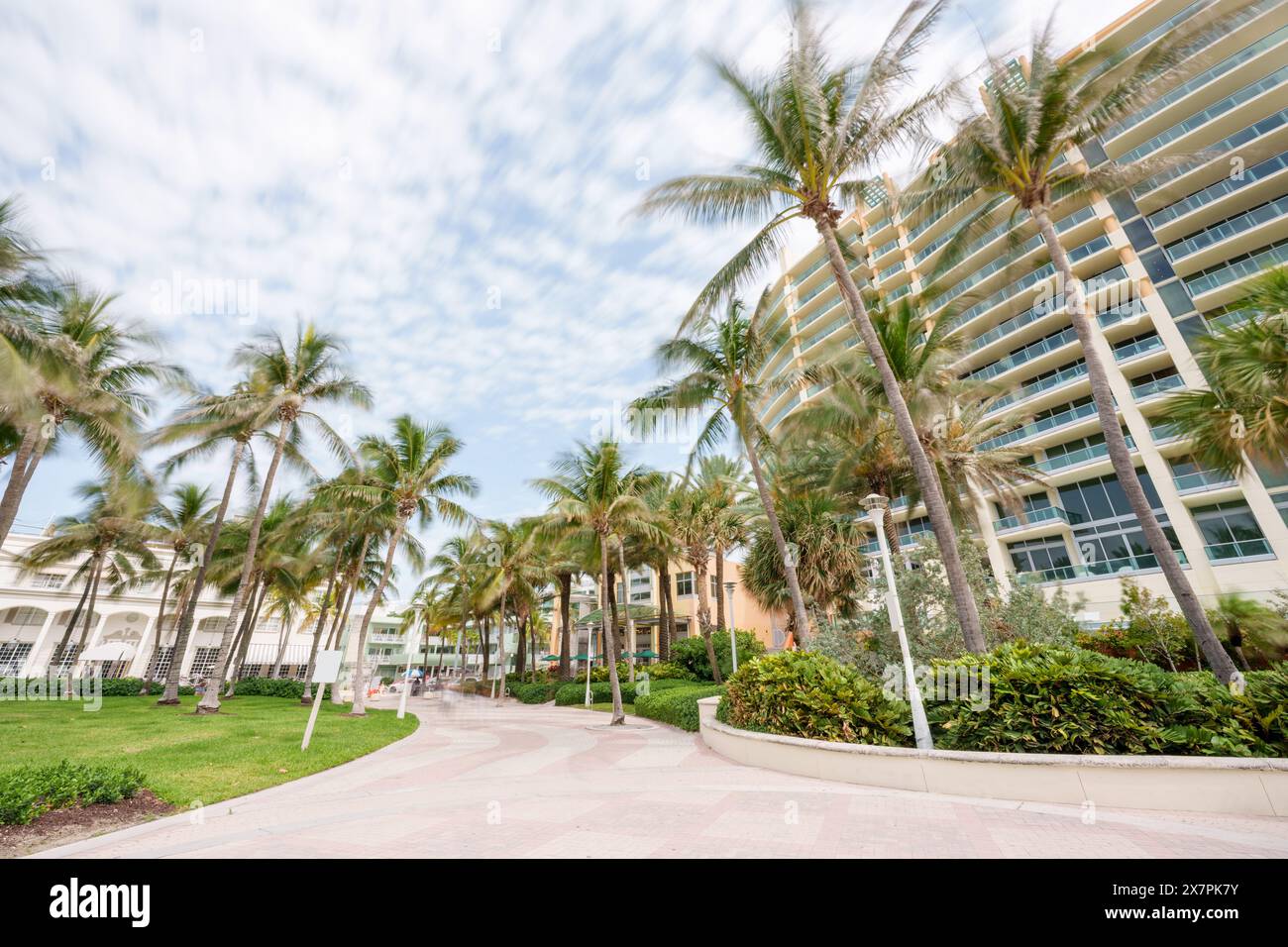 Miami Beach FL États-Unis 2024. Vue sur les palmiers et les bâtiments Ocean Drive Banque D'Images