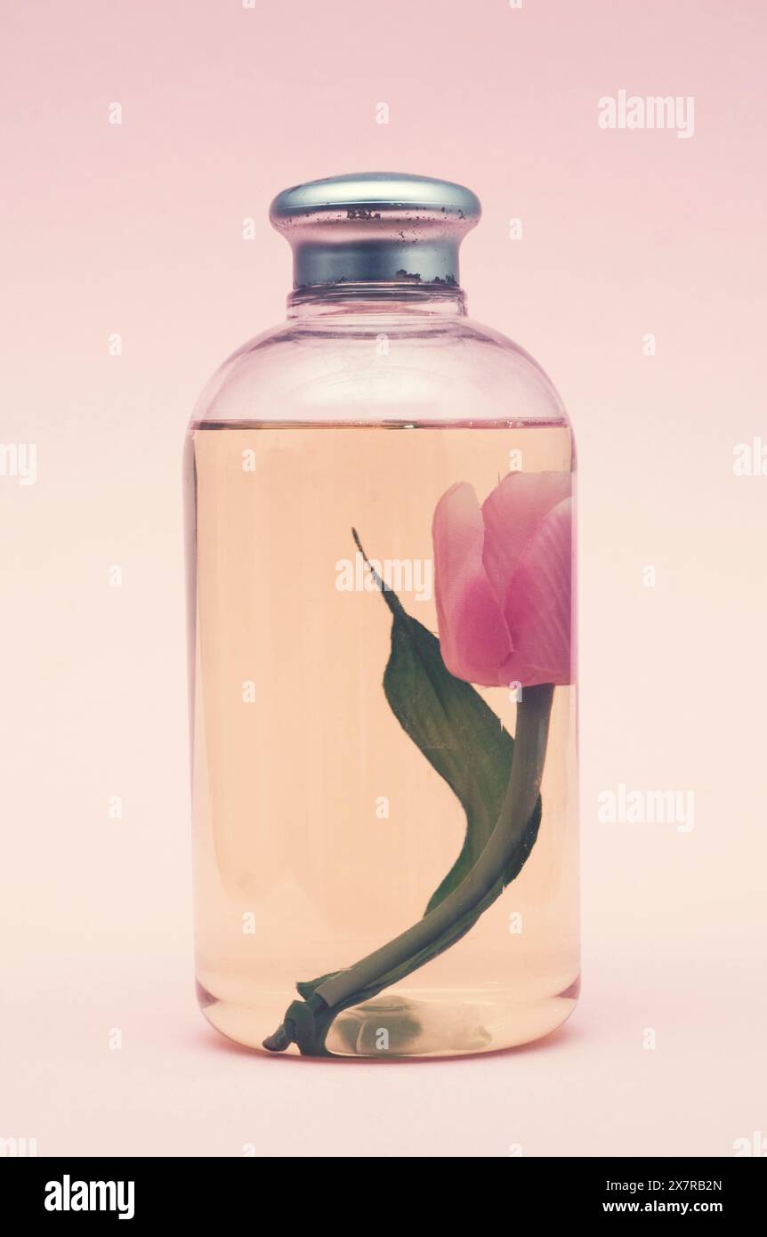 Fleur dans une bouteille de savon liquide Banque D'Images
