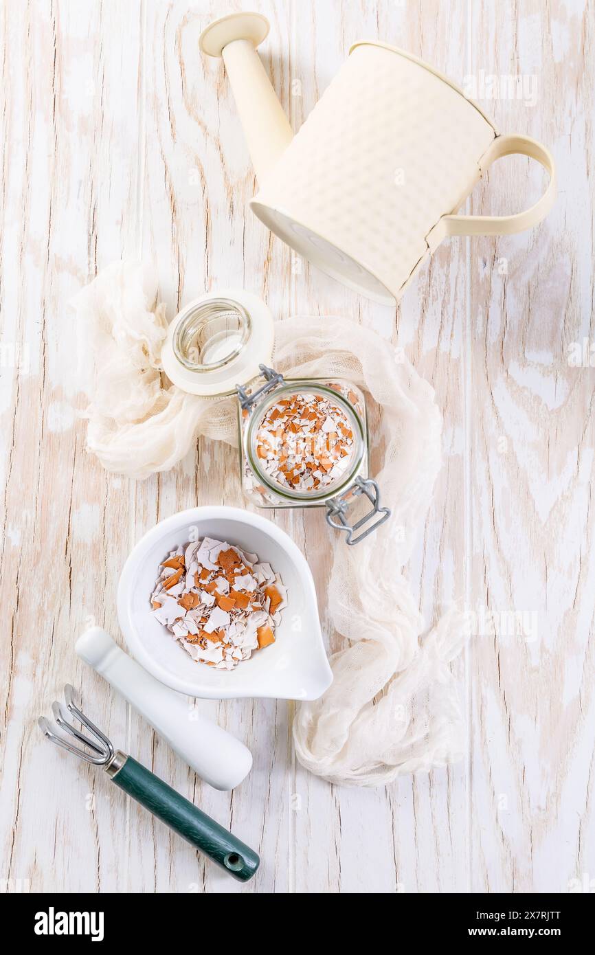 Préparation de coquilles d'œufs broyées pour lit de légumes, coquilles d'œufs stockées pour la fabrication d'engrais naturels pour la culture de légumes, concept de durabilité Banque D'Images