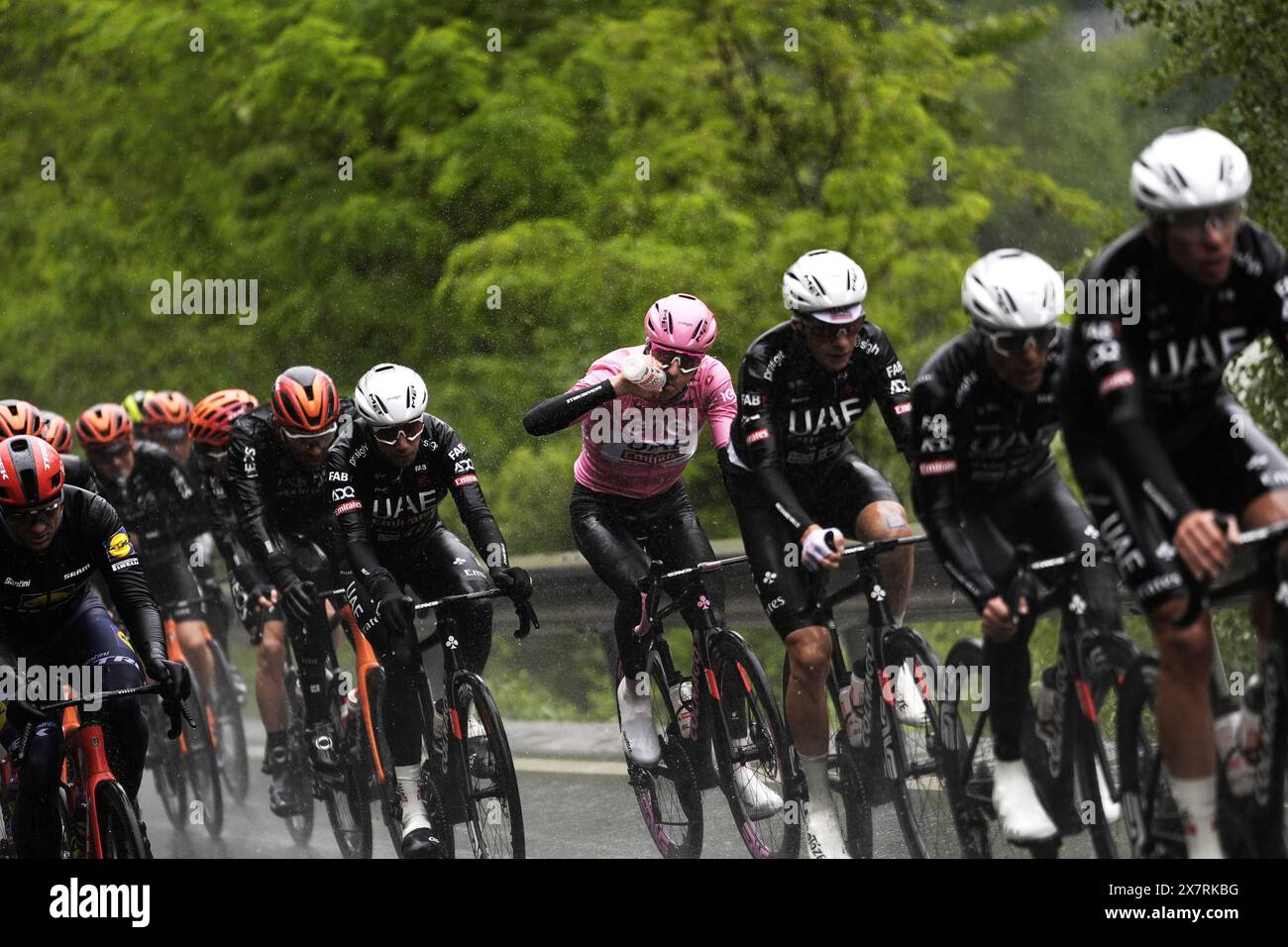 Pogacar Tadej (Team UAE Emirates) Maillot rose, lors de l'étape 16 du Giro d'Italia de Livigno à Santa Cristina Val Gardena (Monte Pana) Italie - mardi 21 mai 2024 - Sport, cyclisme (photo Fabio Ferrari / LaPresse) Banque D'Images