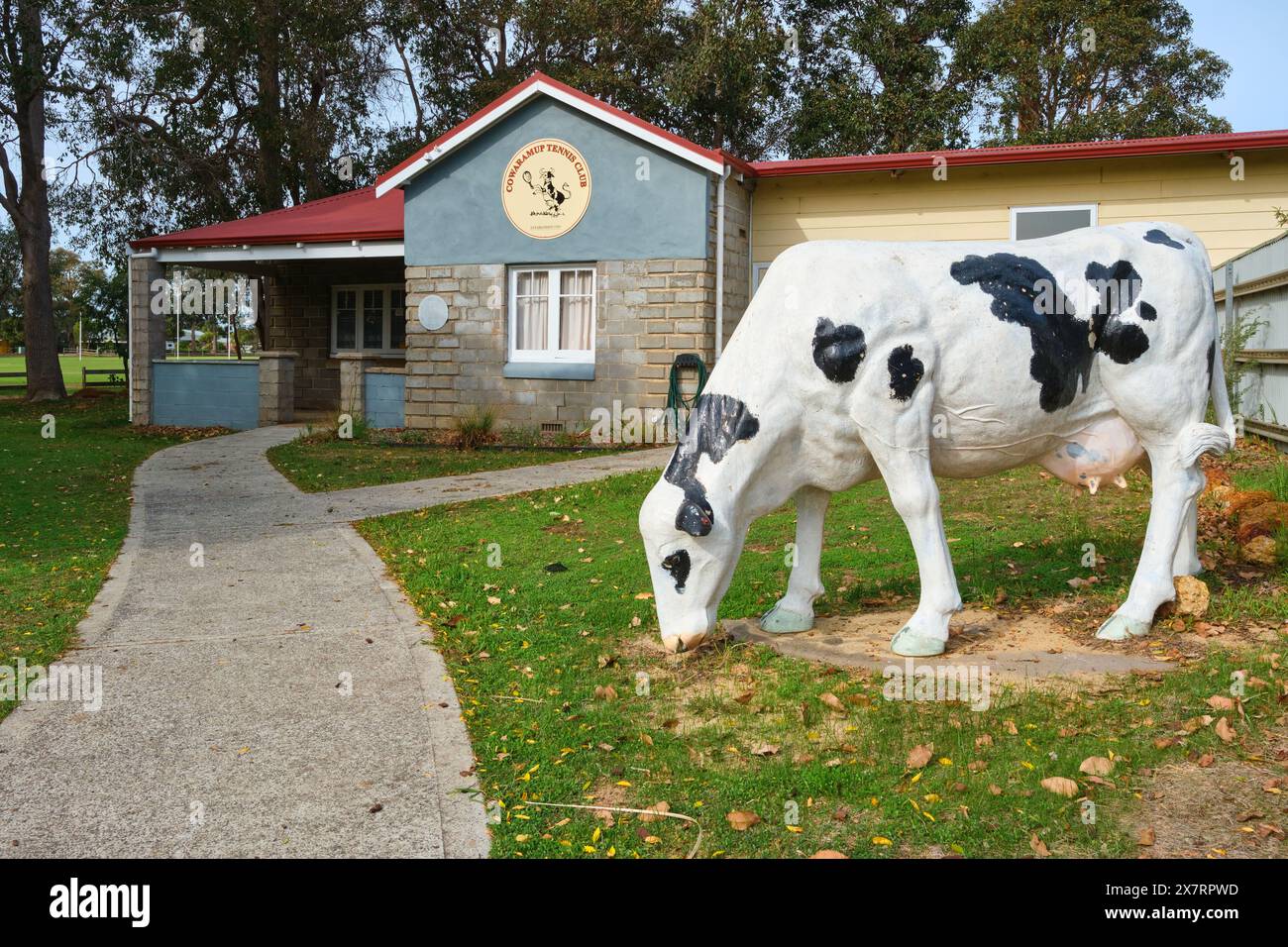 L'ancien CWA Hall construit à partir de 1941, aujourd'hui le Cowaramup Tennis Club avec une statue de vache à l'avant, dans la ville de Cowaramup, en Australie occidentale. Banque D'Images
