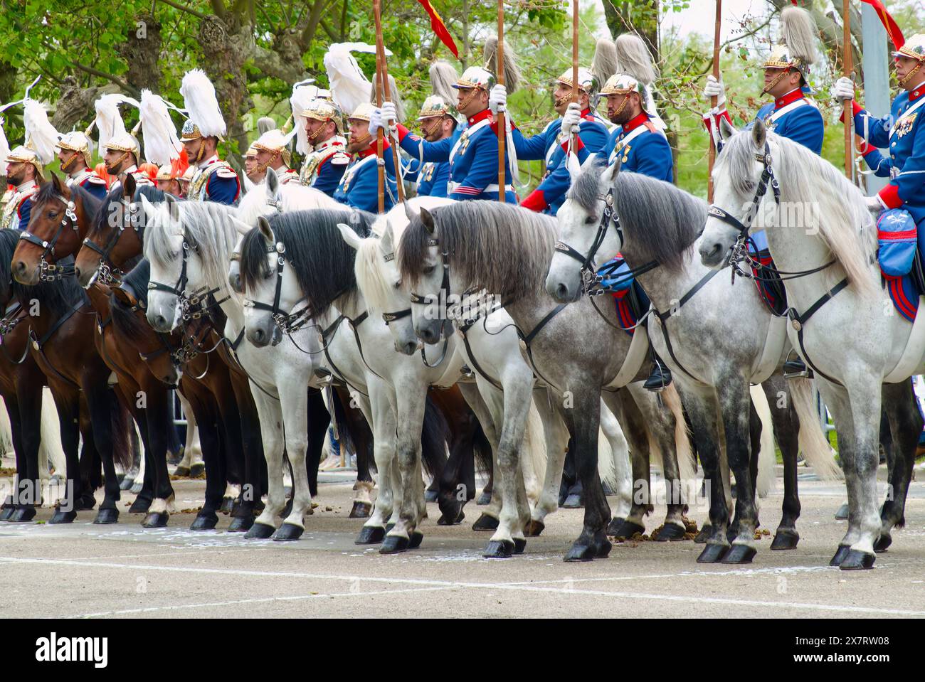 Exposition militaire de la Garde Royale en uniforme vestimentaire sur le cheval Mesones Santander Cantabrie Espagne 12 mai 2024 Banque D'Images