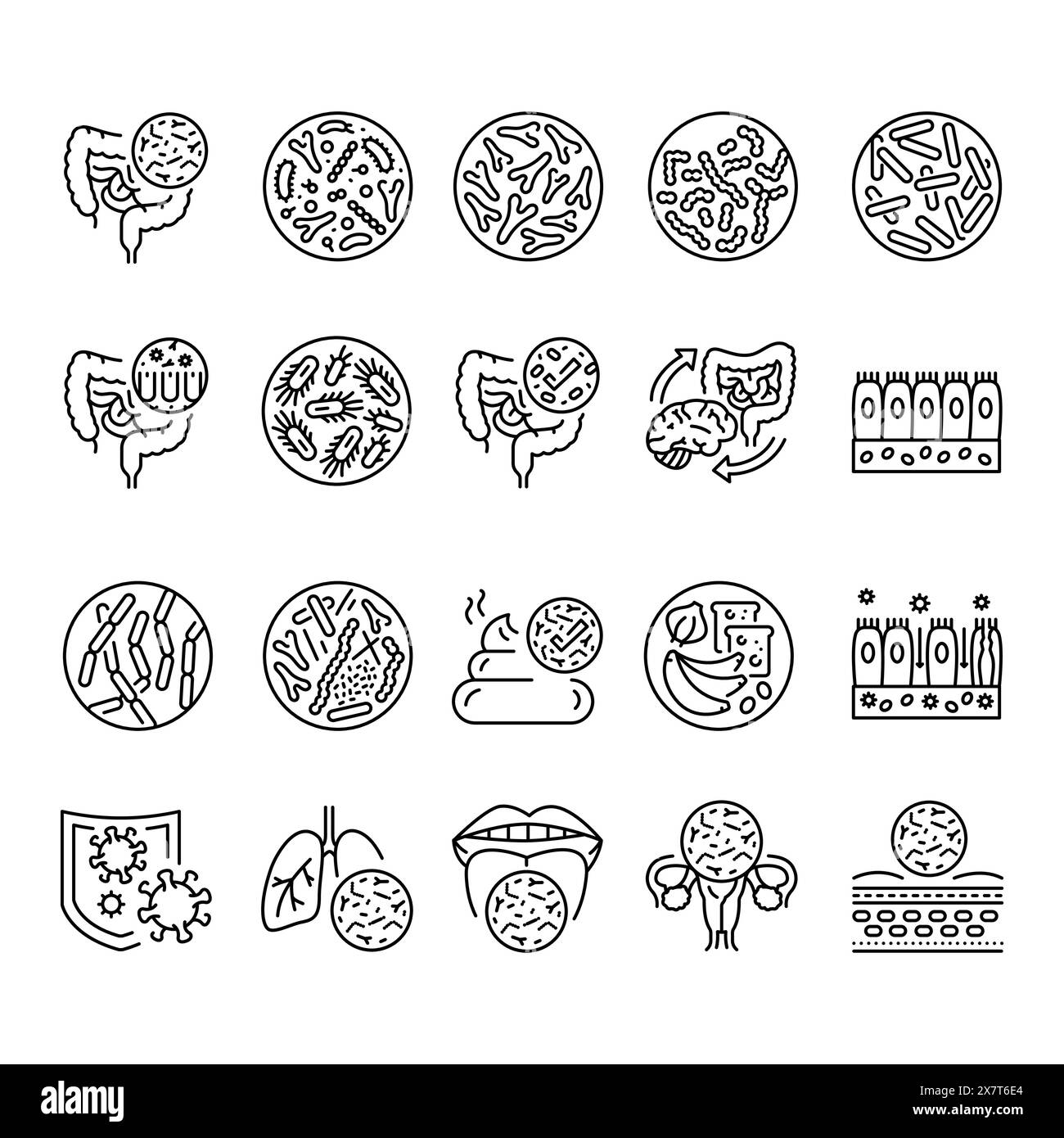 Icônes noires de la ligne microbiome. Microflore humaine. Signez pour la page Web, l'application mobile, le bouton, le logo. Bouton isolé de vecteur. Contour modifiable. Illustration de Vecteur Icônes noires de la ligne microbiome. Microflore humaine. Signez pour la page Web, l'application mobile, le bouton, le logo. Bouton isolé de vecteur. Contour modifiable. Illustration de Vecteur