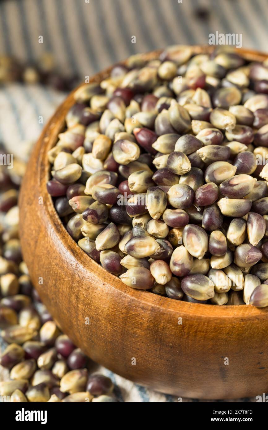 Séchez les grains de pop-corn violets biologiques dans un bol Banque D'Images