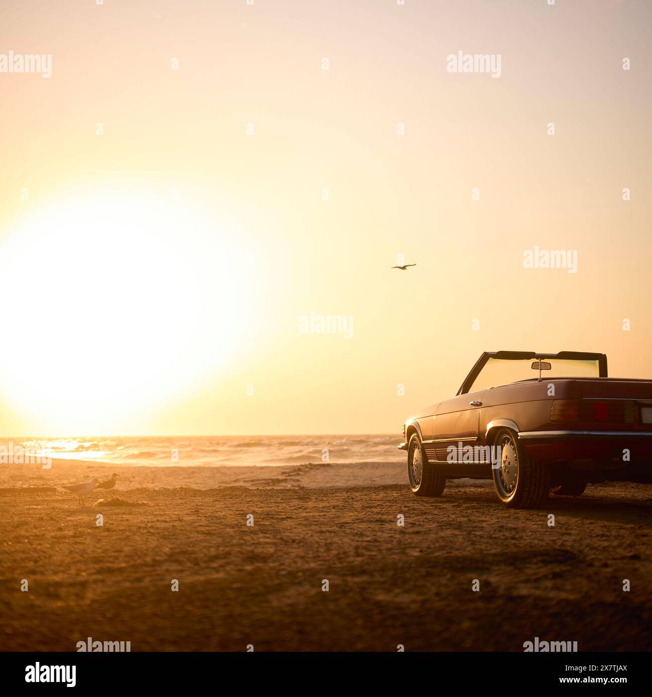 Voiture de sport décapotable classique sur le rivage de la plage au lever du soleil Banque D'Images