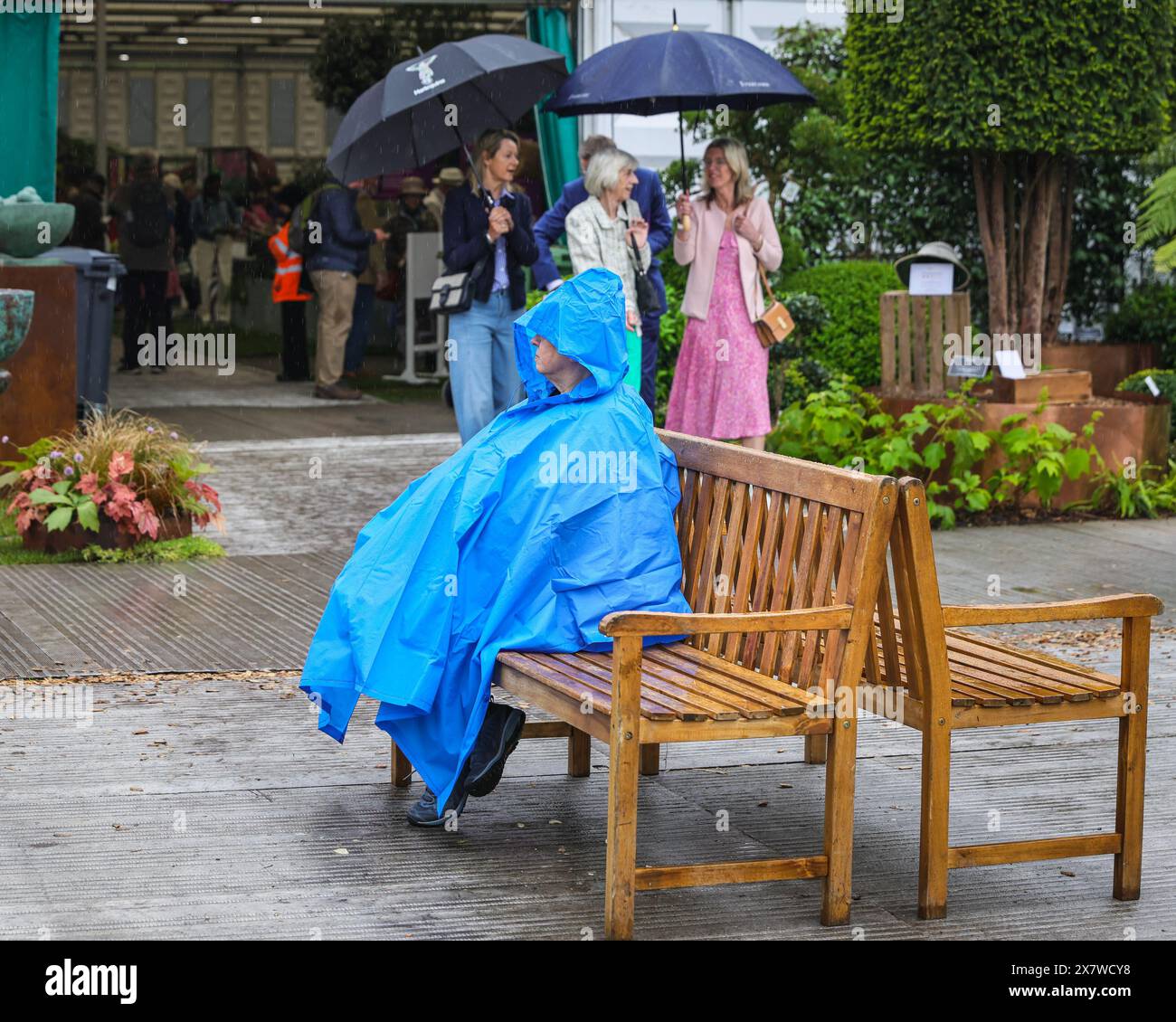 Londres, Royaume-Uni. 21 mai 2024. Un visiteur défie la pluie dans un poncho bleu confortable. Après la journée de presse d'hier avec un beau soleil chaud tout au long, aujourd'hui a vu beaucoup de pluie dans l'après-midi au Chelsea Flower Show, mais les visiteurs semblent avoir tiré le meilleur parti de tout cela de toute façon. Crédit : Imageplotter/Alamy Live News Banque D'Images