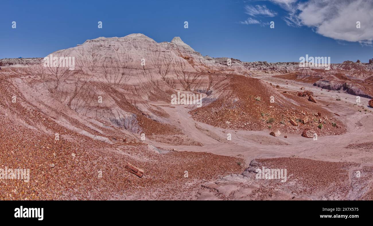 Une colline de bentonite dans la vallée en dessous du côté sud de Blue Mesa dans le parc national Petrified Forest en Arizona. Banque D'Images