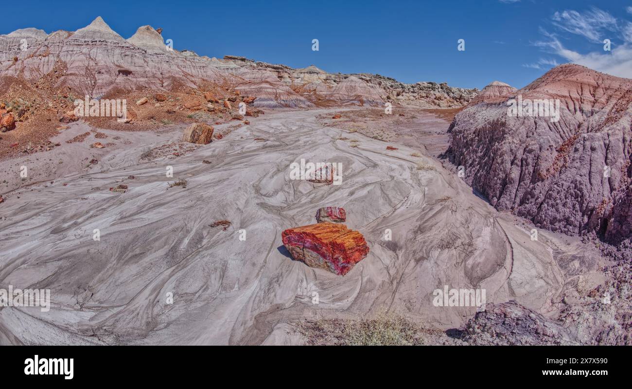 Un lavage à sec dans la vallée en dessous du côté sud de Blue Mesa au parc national Petrified Forest Arizona. Banque D'Images