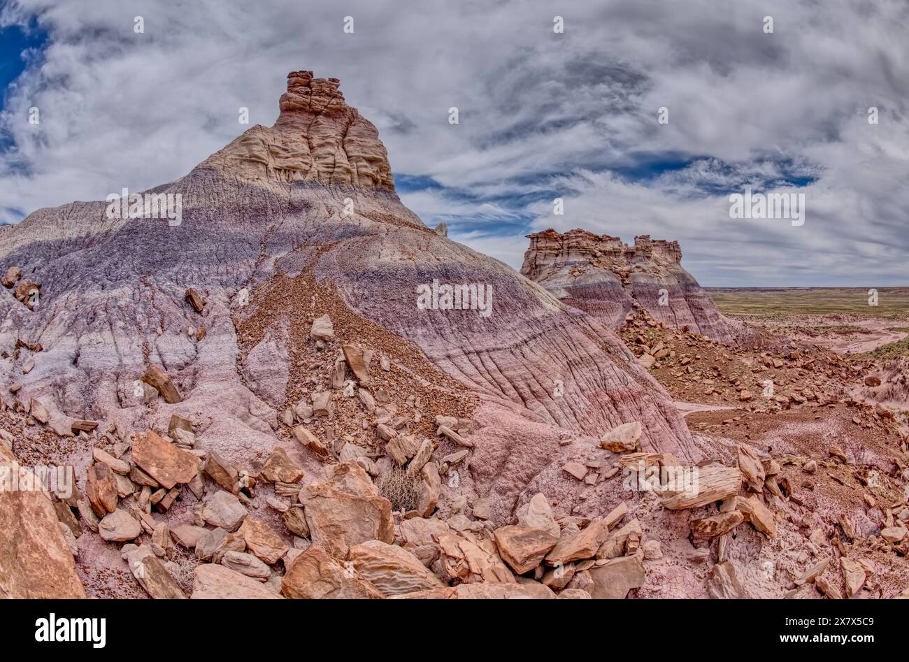 Une flèche hoodoo dans la vallée en dessous de Blue Mesa du parc national Petrified Forest en Arizona en forme de tête de cheval lorsqu'on la regarde sous certains angles. Banque D'Images