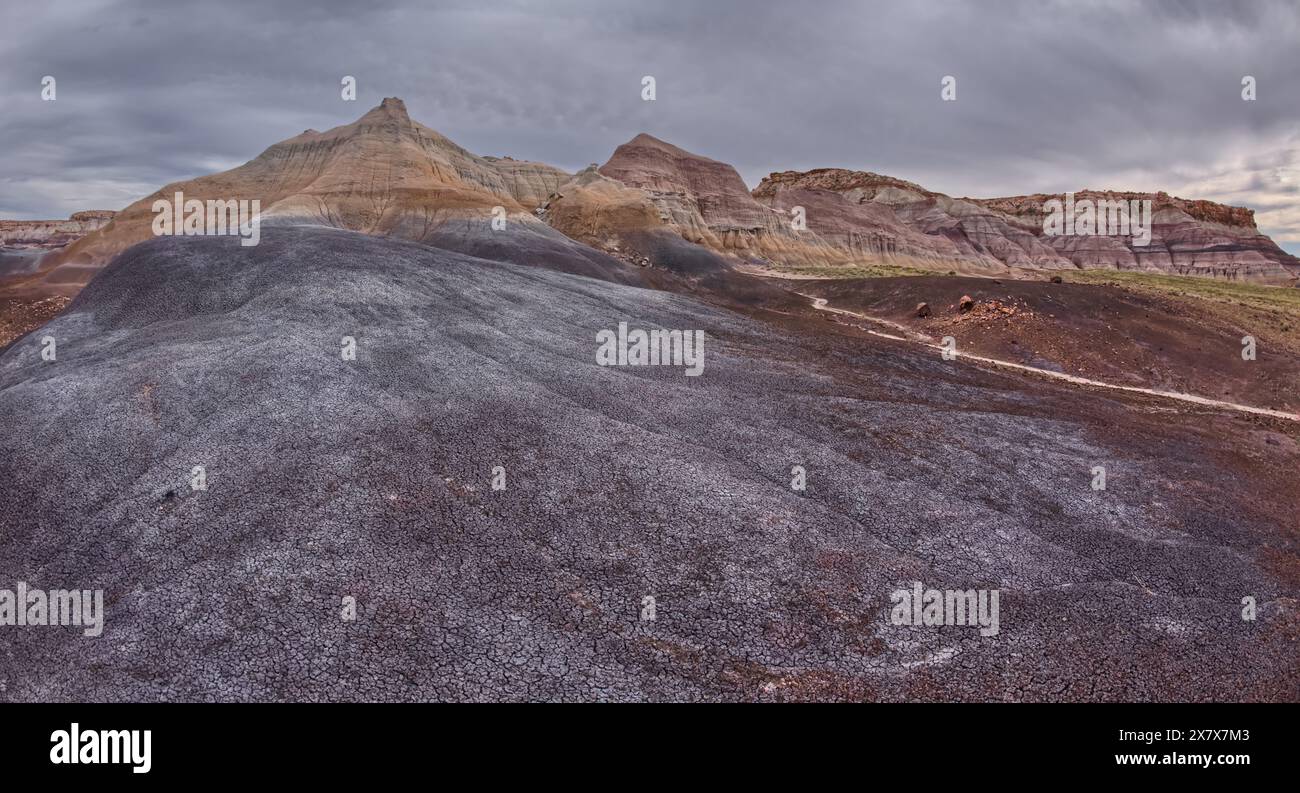 Les falaises nord de Blue Mesa dans le parc national Petrified Forest en Arizona. Banque D'Images
