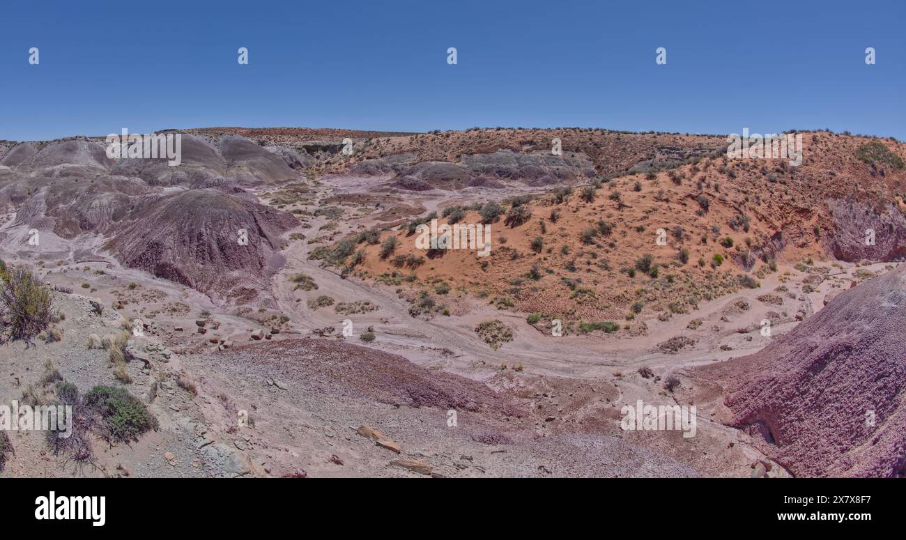 Une dune de sable rouge en pente et des badlands violets au-dessus de Hamilili Wash dans le parc national Petrified Forest en Arizona. Banque D'Images
