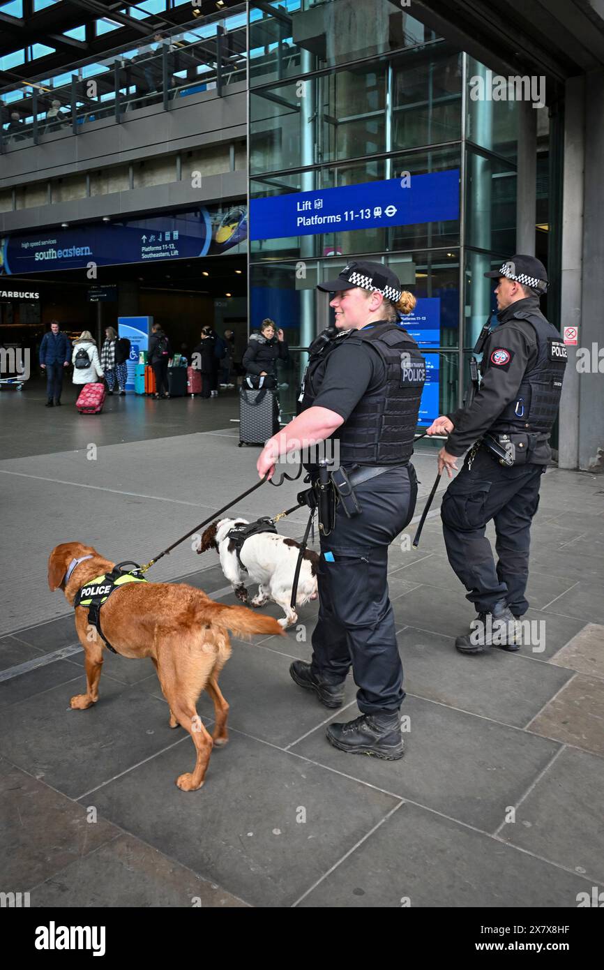 British transport police with Dogs, gare de St Pancras, Londres, Angleterre, U. K Banque D'Images