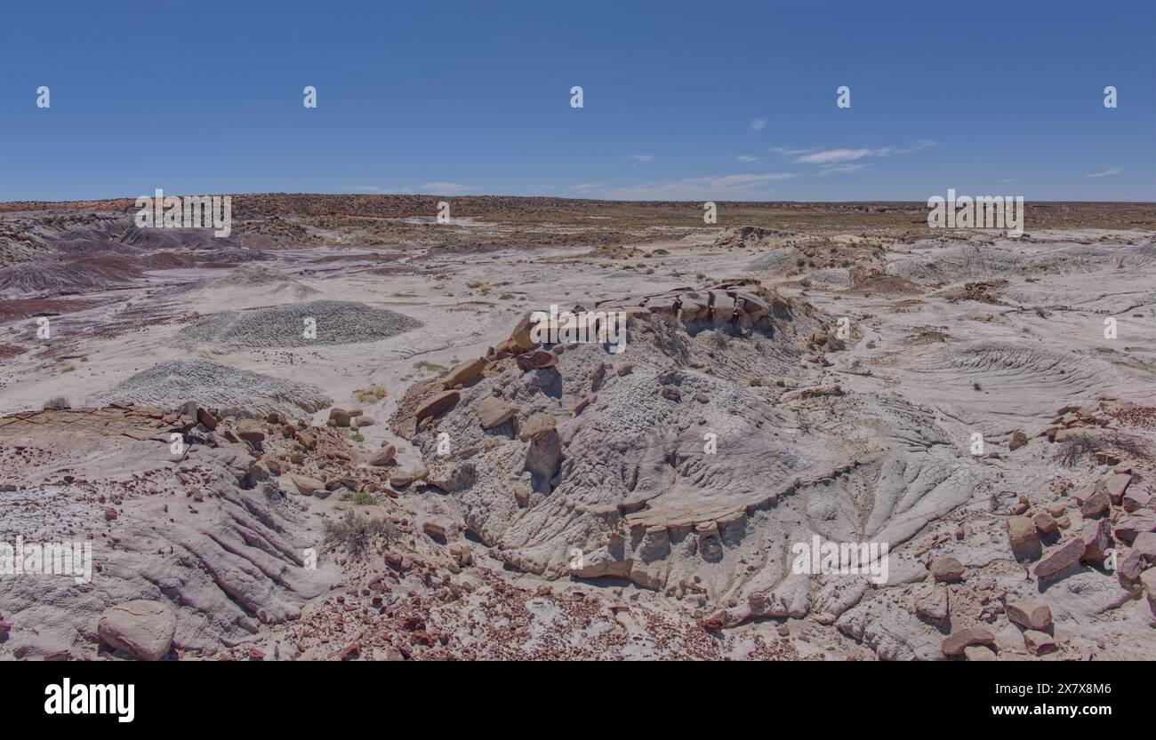 Des plaines d'argile grise sous Anvil Hill à l'ouest de Hamilili point dans le parc national Petrified Forest en Arizona. Banque D'Images