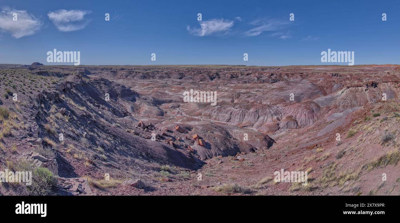 Vue depuis le sommet de Crystal Mesa à l'ouest de Hamilili point dans le parc national Petrified Forest National Park Arizona. Banque D'Images