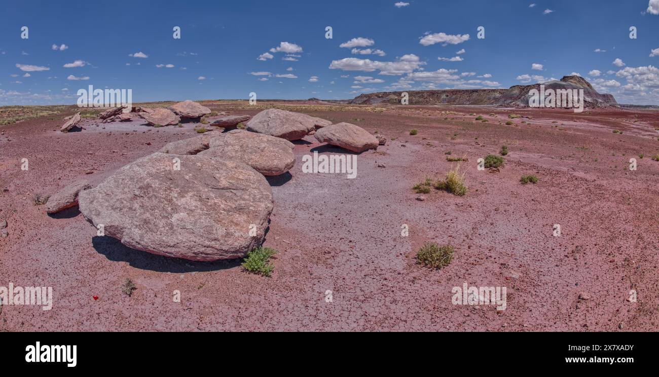 Blocs plats le long de la piste Haystack dans le parc national Petrified Forest, Arizona. Banque D'Images