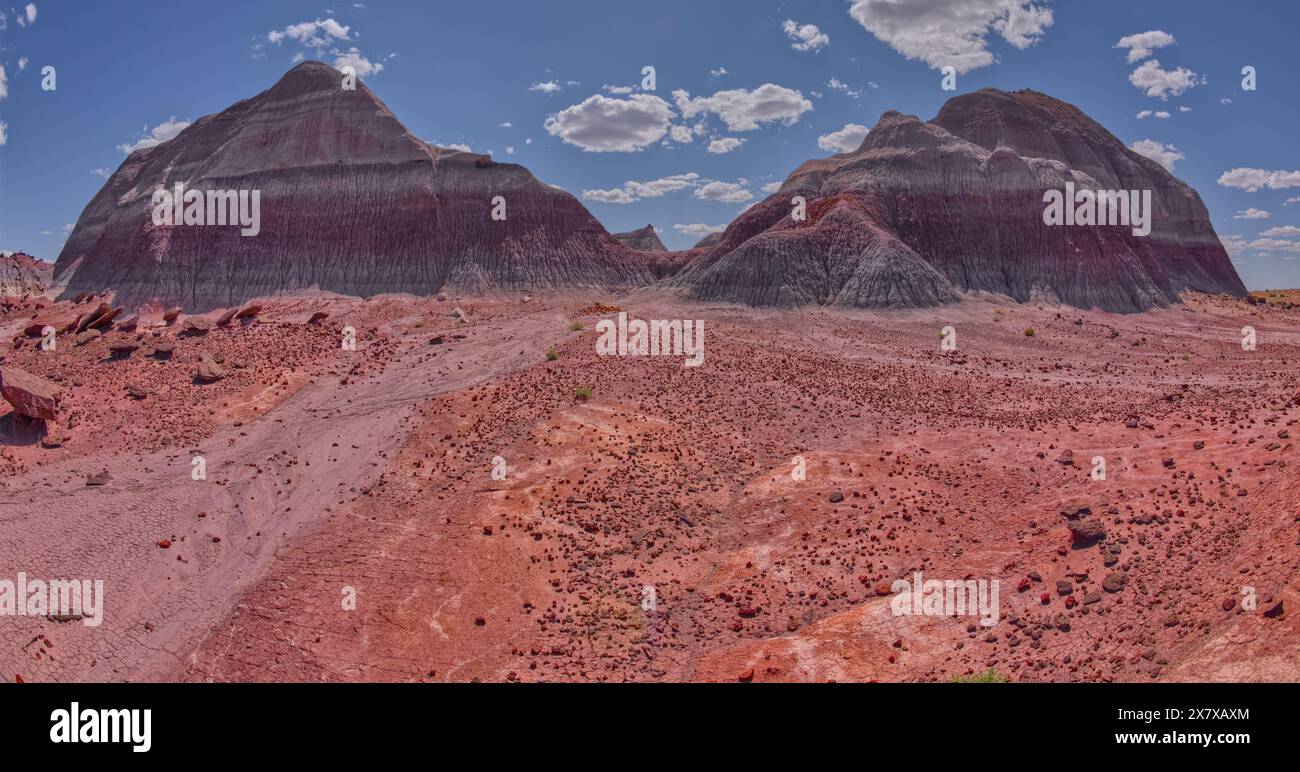 Les Little Teepees sur le côté nord de Haystack Mesa dans le parc national Petrified Forest en Arizona. Banque D'Images