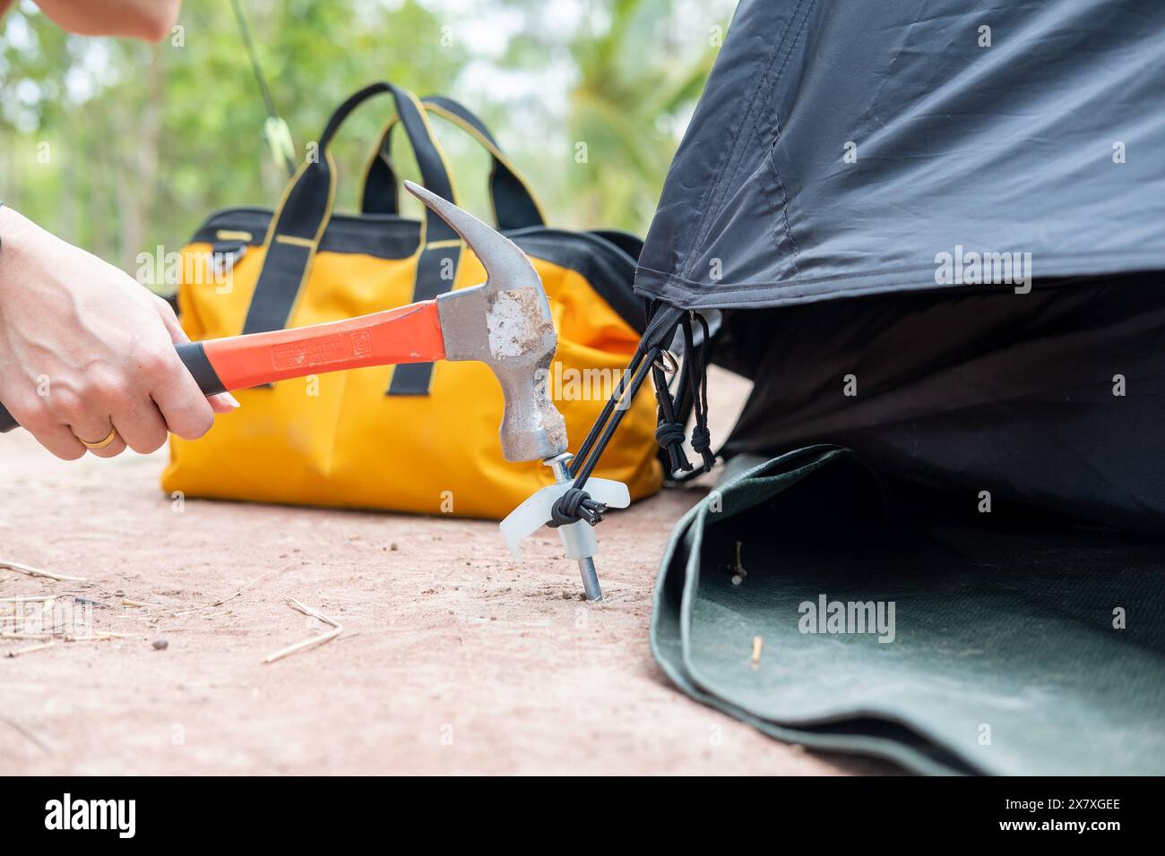 Les mains des touristes utilisent des marteaux pour marteler le sol pour rendre les tentes fortes. Banque D'Images Les mains des touristes utilisent des marteaux pour marteler le sol pour rendre les tentes fortes. Banque D'Images
