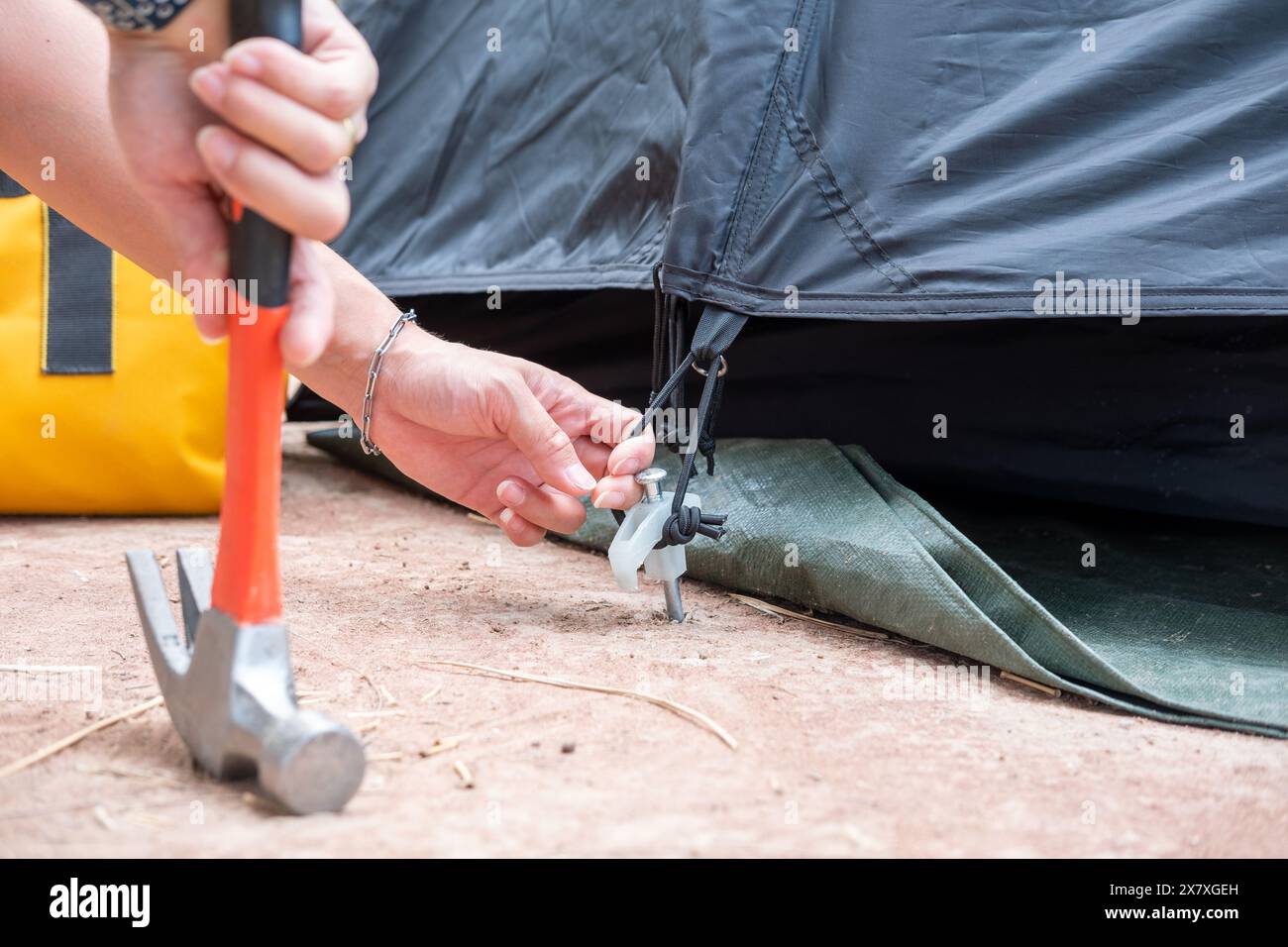 Les mains des touristes utilisent des marteaux pour marteler le sol pour rendre les tentes fortes. Banque D'Images Les mains des touristes utilisent des marteaux pour marteler le sol pour rendre les tentes fortes. Banque D'Images
