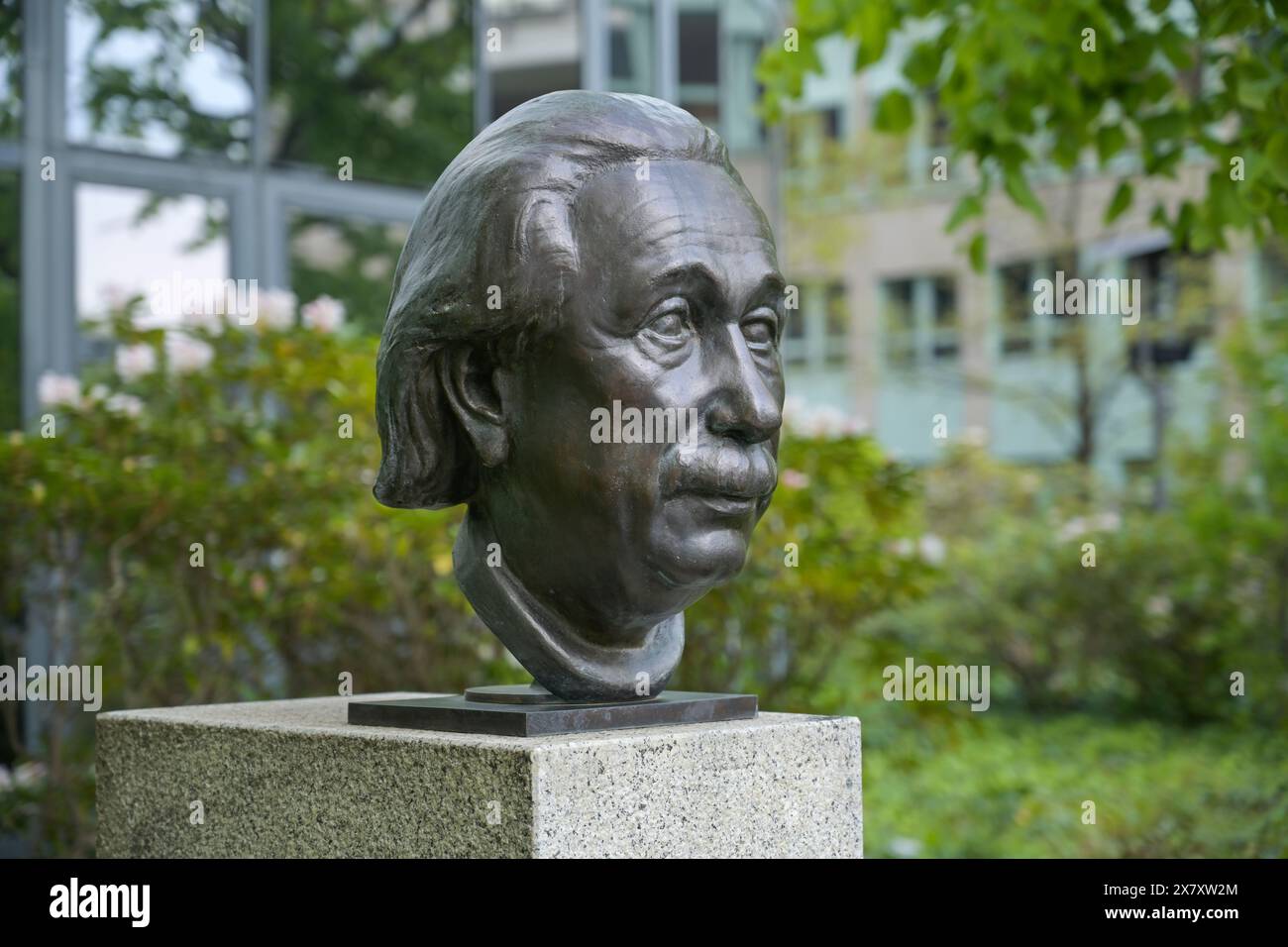 Büste Albert Einstein, Straße der Erinnerung, Spreebogen, Moabit, Mitte, Berlin, Deutschland Banque D'Images