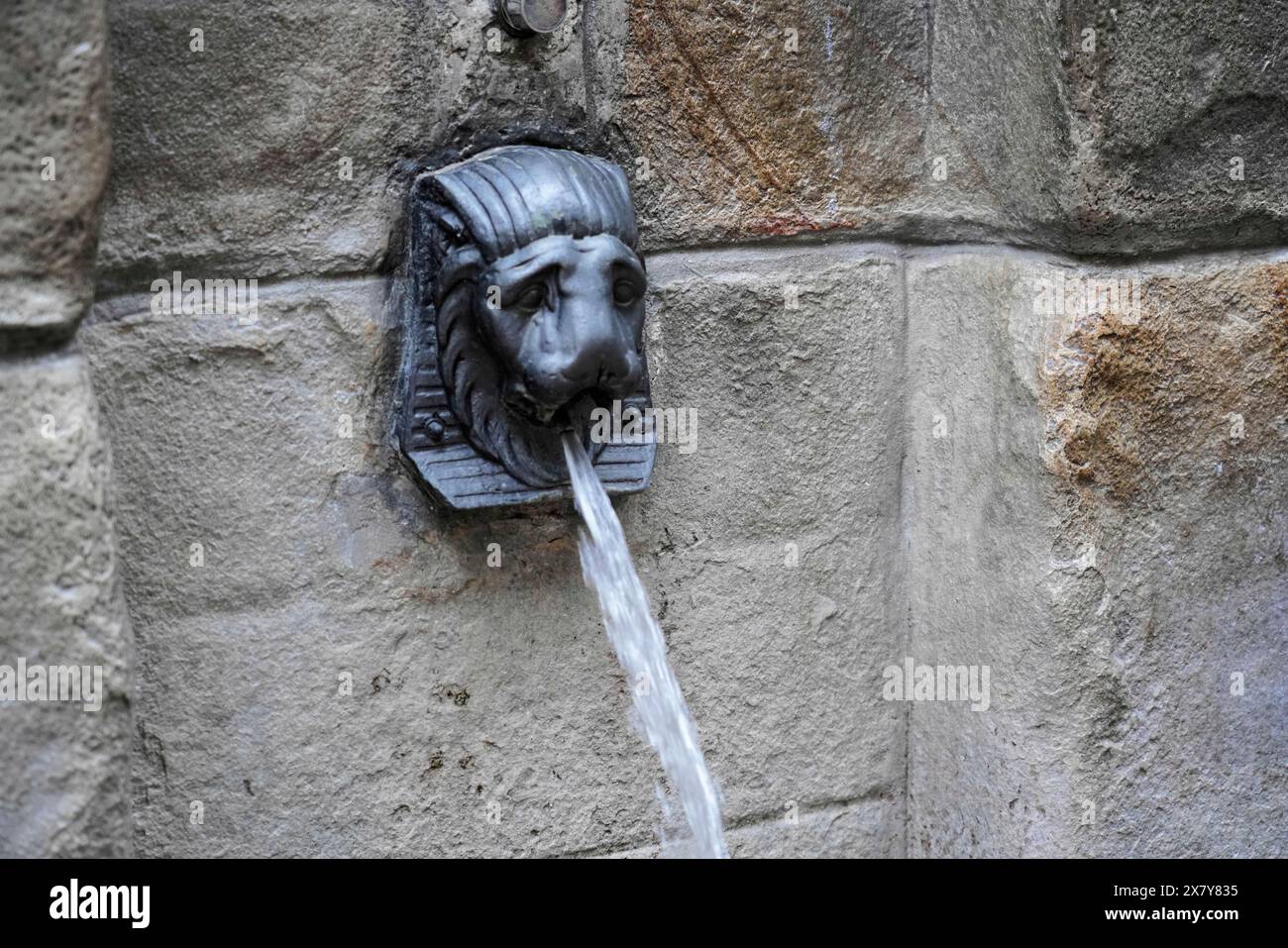 Bilbao, pays Basque, Espagne, Europe, gros plan d'une tête de lion comme une gargouille sur un mur de pierre, centre historique, Europe Banque D'Images