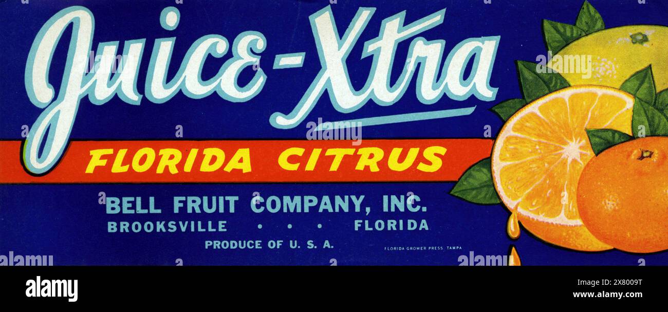 Juice-Xtra Florida Citrus Label (circa 1930-1950) oranges - Bell fruit Company - artiste anonyme Banque D'Images