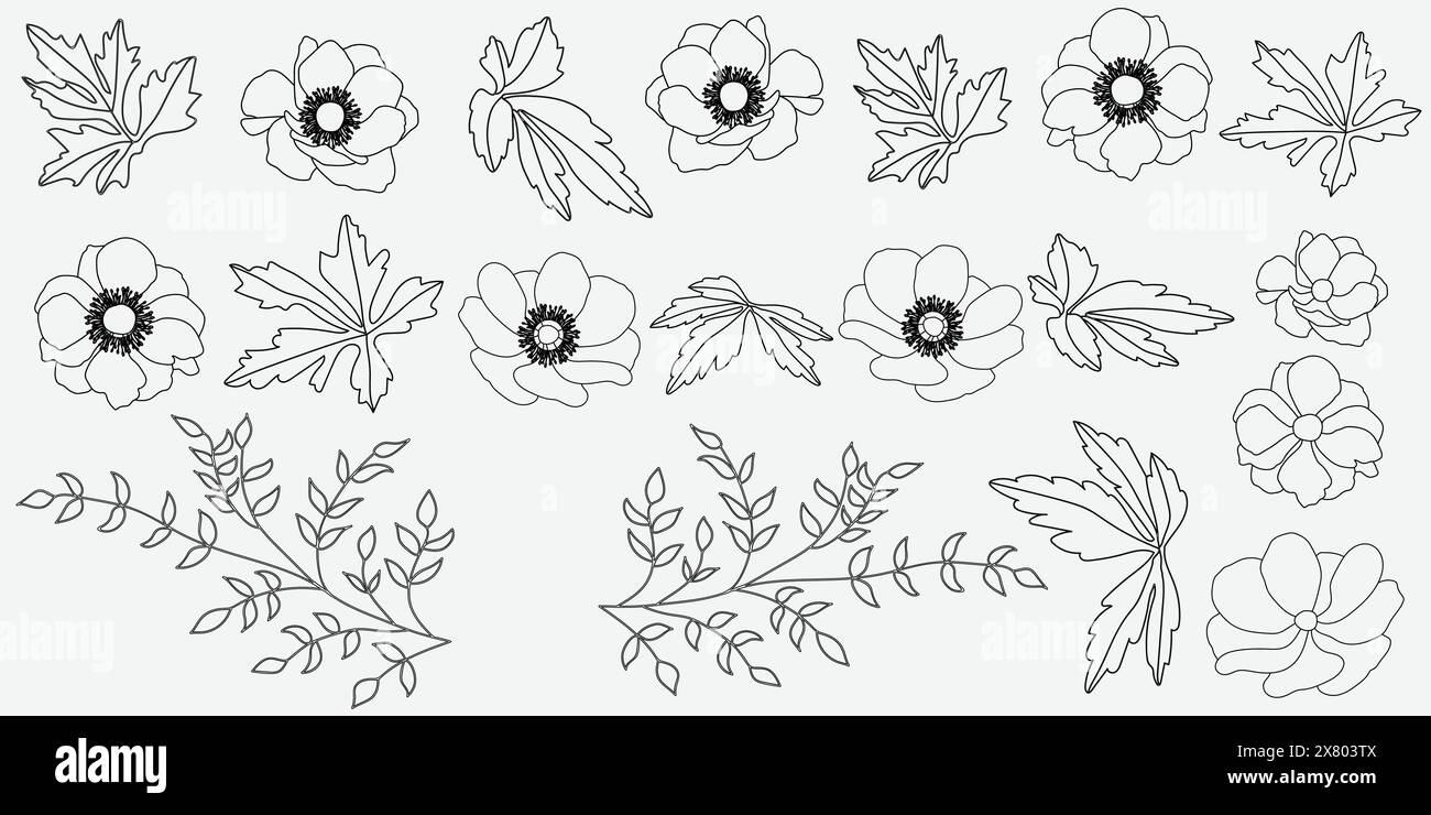 Illustration des fleurs sur fond blanc. Illustration vectorielle. Illustration de Vecteur