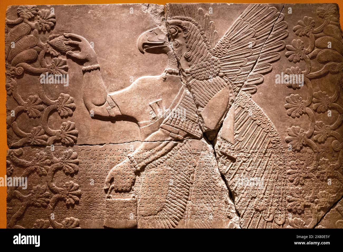 Détail, Apkallu-figure entre deux arbres sacrés, assyrien ; ancien proche-Orient, CA. 883–859 B.C. E., Brooklyn Museum, New York, États-Unis Banque D'Images