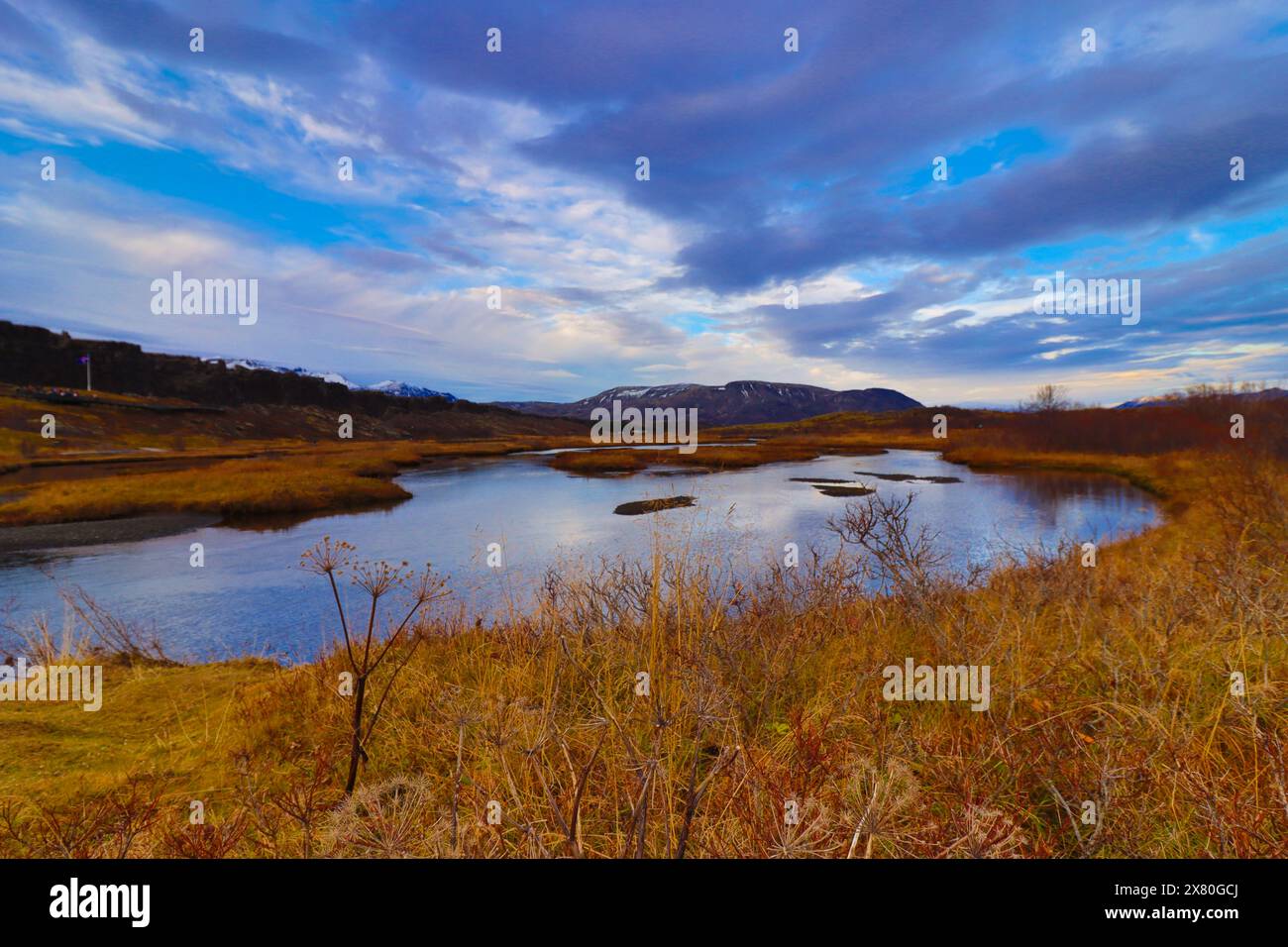 Paysages dans le parc national de Thingvellir en Islande. Lacs et végétation. Mid-Atlantic Ridge. Banque D'Images