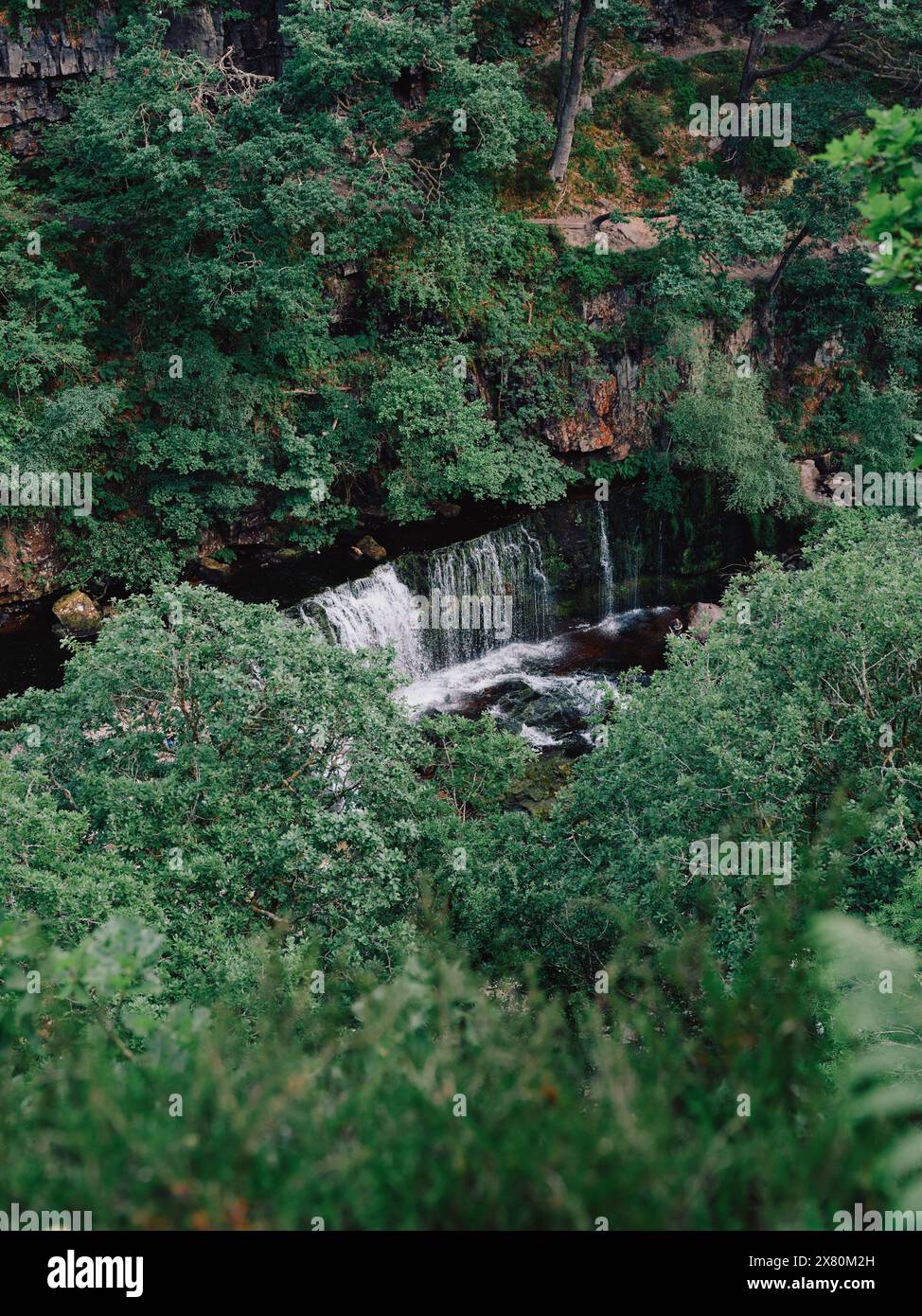 Sgwd ISAF Clun-Gwyn cascades sur la rivière Mellte, à environ 20 mètres de hauteur, entouré de magnifiques bois, Brecon Beacons Wales UK Banque D'Images