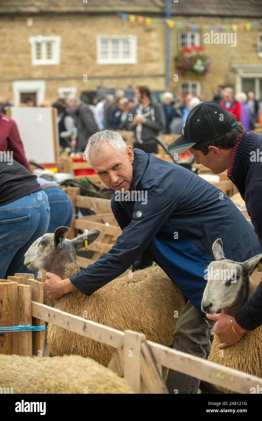 Moutons dans des enclos en bois stabilisés par leurs propriétaires avant de juger à la foire des moutons de Masham, North Yorkshire, Royaume-Uni Banque D'Images