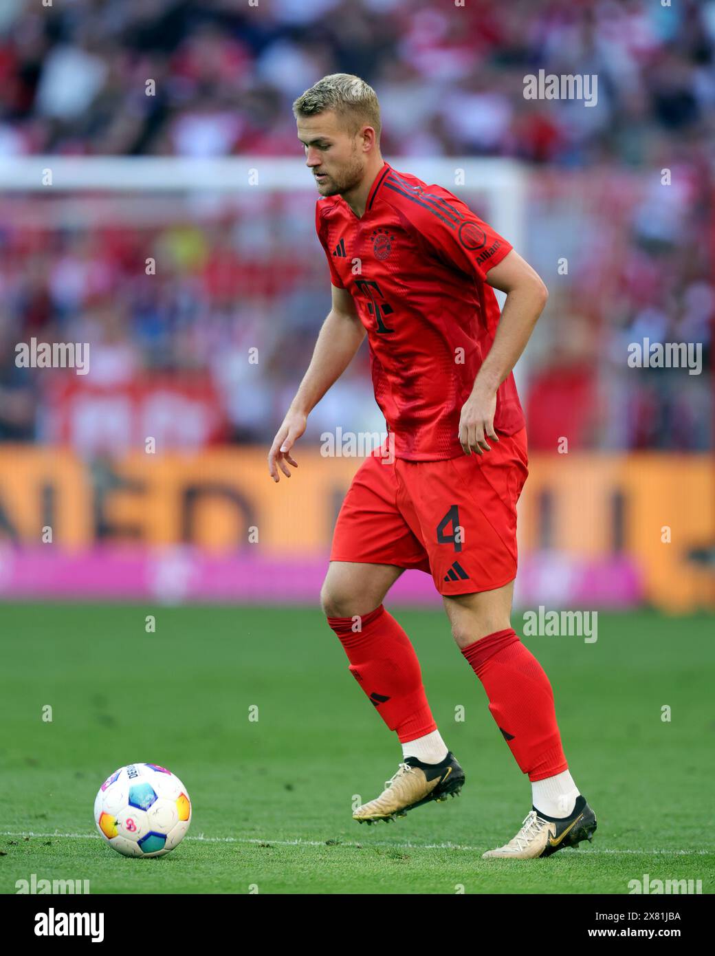 Matthijs de Ligt du FC Bayern Muenchen FC Bayern München vs VFL Wolfsburg Fussball 1. Bundesliga saison 2023/24 33. Spieltag Allianz Arena München 12.05.2024 © diebilderwelt / Alamy Stock Banque D'Images