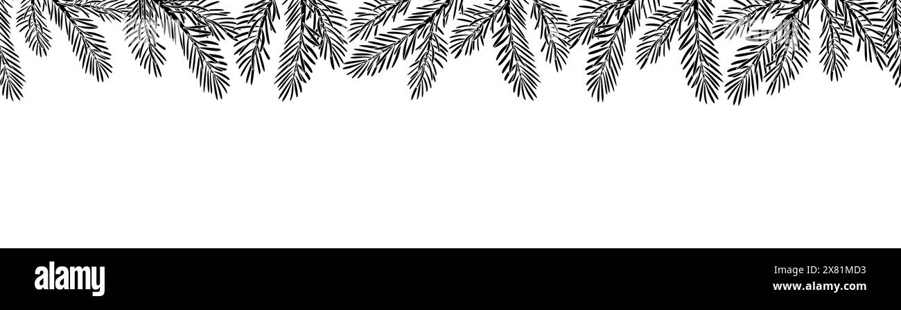 Branches de pin silhouette de bordure sans couture isolée sur des branches blanches d'épinette. Plante à feuilles persistantes de Noël dessinée à la main. Décoration hivernale. Illustration vectorielle en noir et blanc Illustration de Vecteur