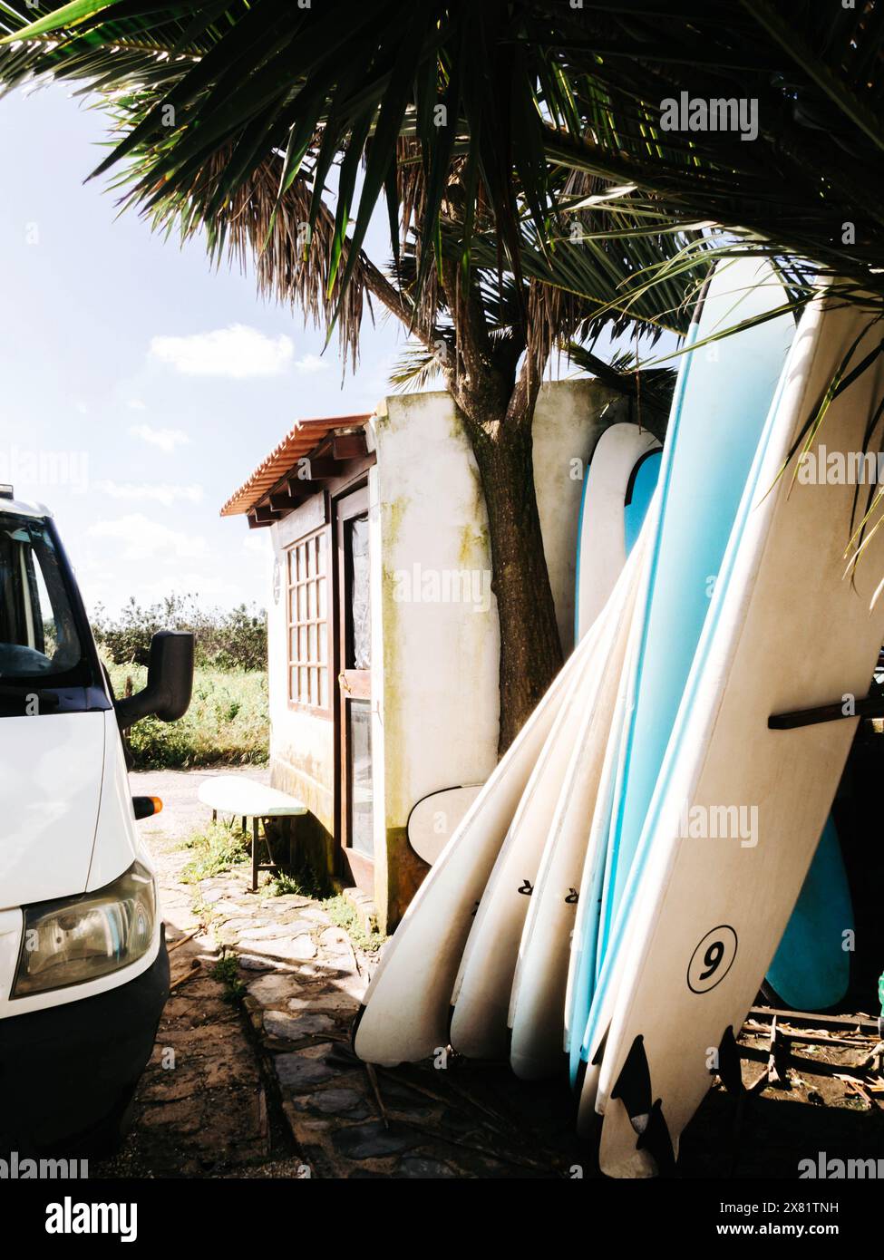 Un coin surfeurs décontracté avec un van garé à côté d'un rack de planches de surf à l'ombre d'un palmier, évoquant un style de vie décontracté sur la plage Banque D'Images