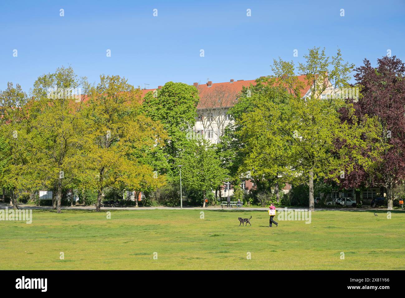 Preußenpark, Wilmersdorf, Bezirk Charlottenburg-Wilmersdorf, Berlin, Deutschland Banque D'Images