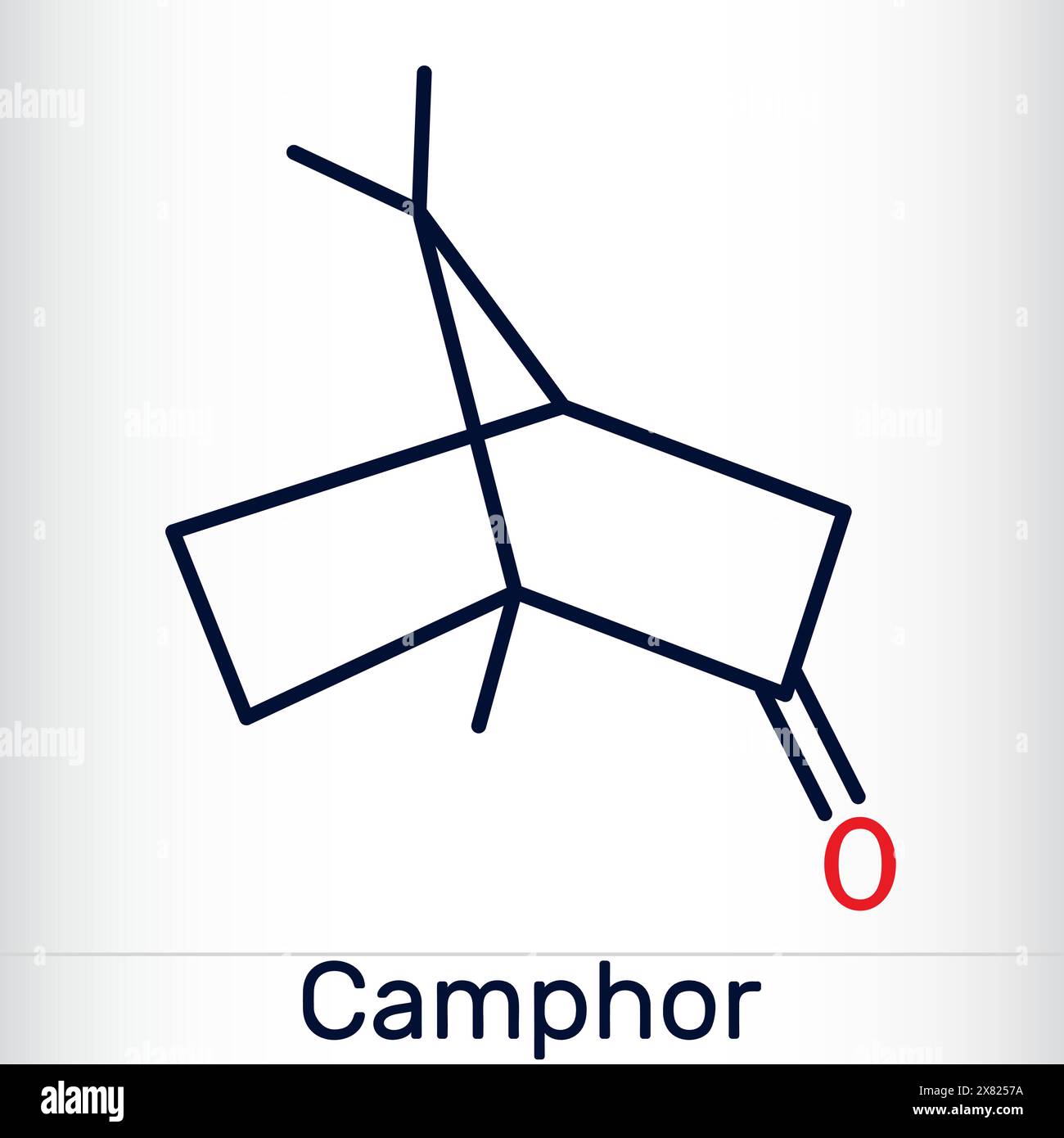 Molécule de camphre. C'est un terpénoïde et une cétone cyclique. Formule chimique structurale et modèle moléculaire. Illustration de Vecteur