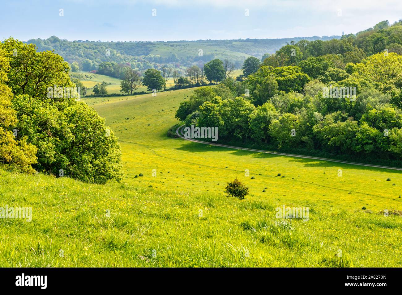 Belle vue sur les Kent Downs à Lydden près de Douvres dans le Kent, Angleterre Banque D'Images