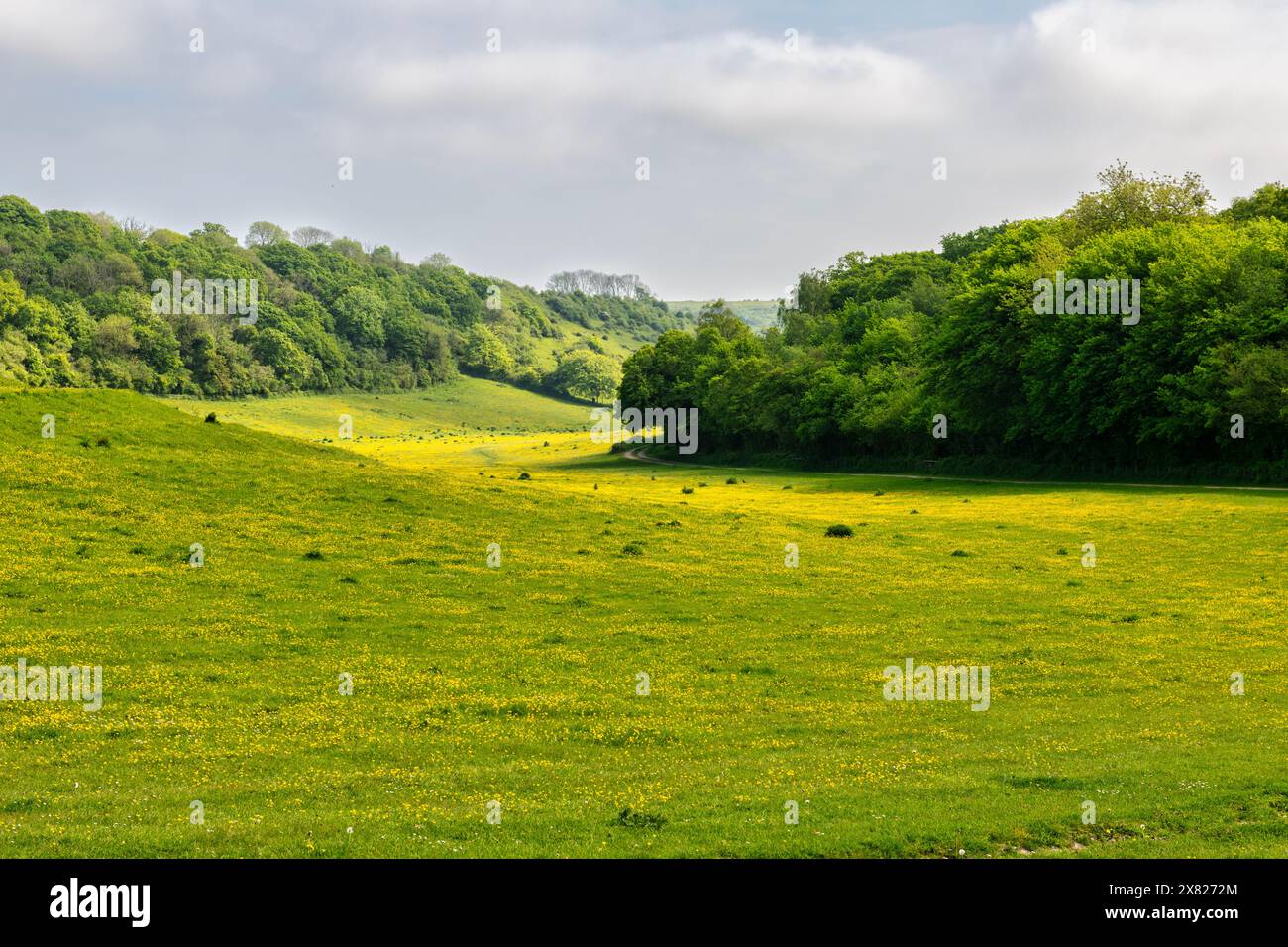 Belle vue sur les Kent Downs à Lydden près de Douvres dans le Kent, Angleterre Banque D'Images