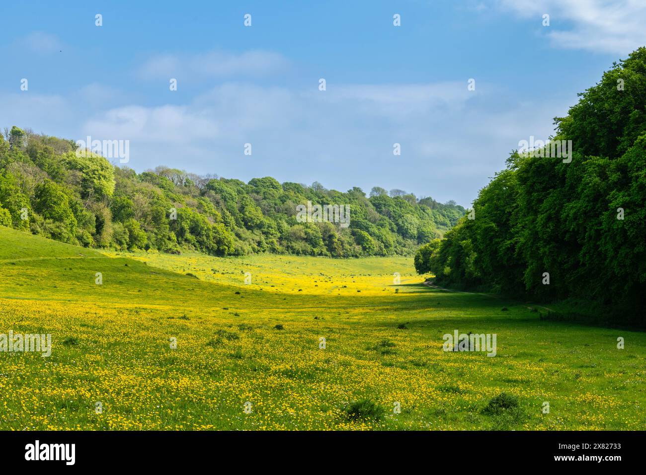 Belle vue sur les Kent Downs à Lydden près de Douvres dans le Kent, Angleterre Banque D'Images