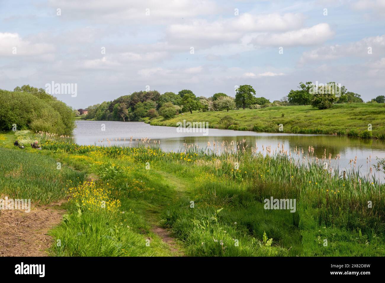 Un des nombreux flashs de Sandbach Cheshire , des piscines se sont formées à la suite de l'affaissement dû au sel sous-jacent étant emporté pendant la production de sel Banque D'Images