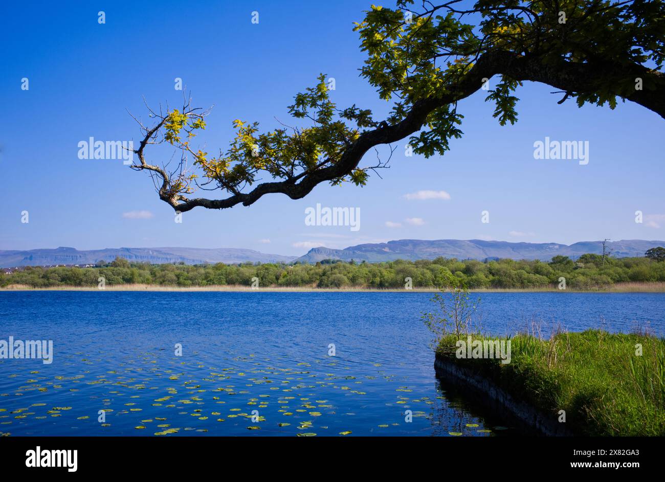 River Garvoge à Sligo, Irlande Banque D'Images